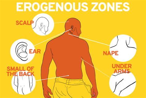 erogene zone man|How to Identify and Stimulate the 14 Erogenous Zones